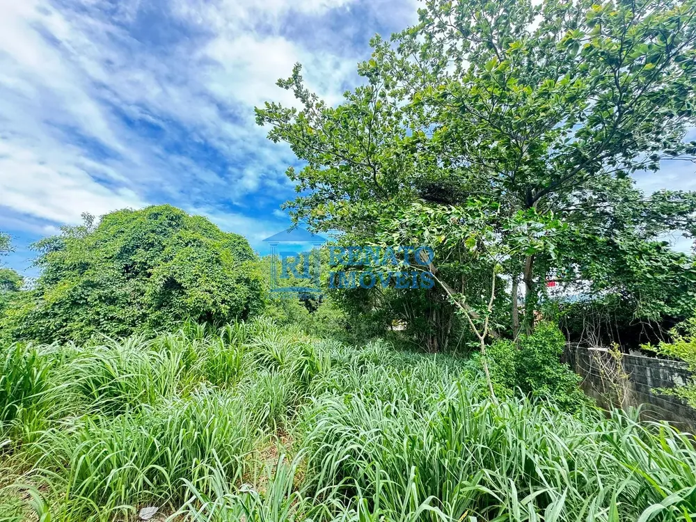 Depósito-Galpão, 1685 m² - Foto 4