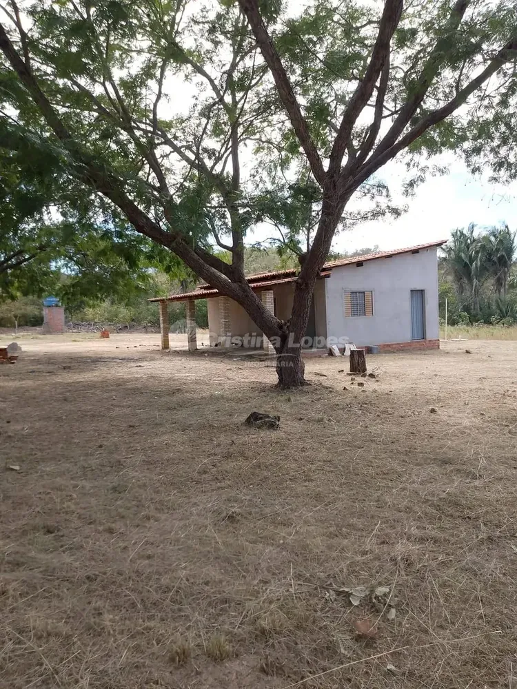 Terreno, 5000 m² - Foto 4