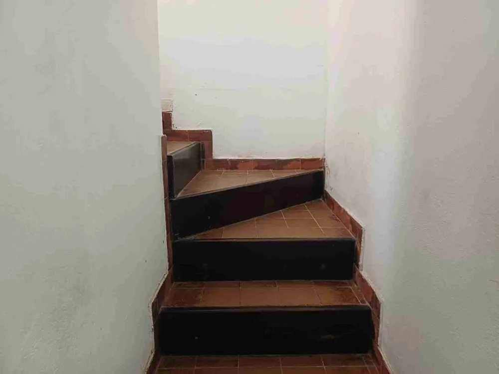 Casa, 5 quartos, 300 m² - Foto 16