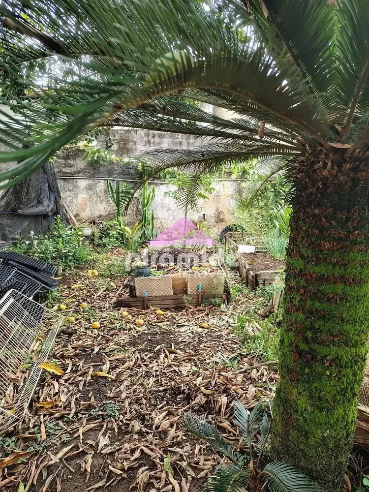 Terreno, 250 m² - Foto 4