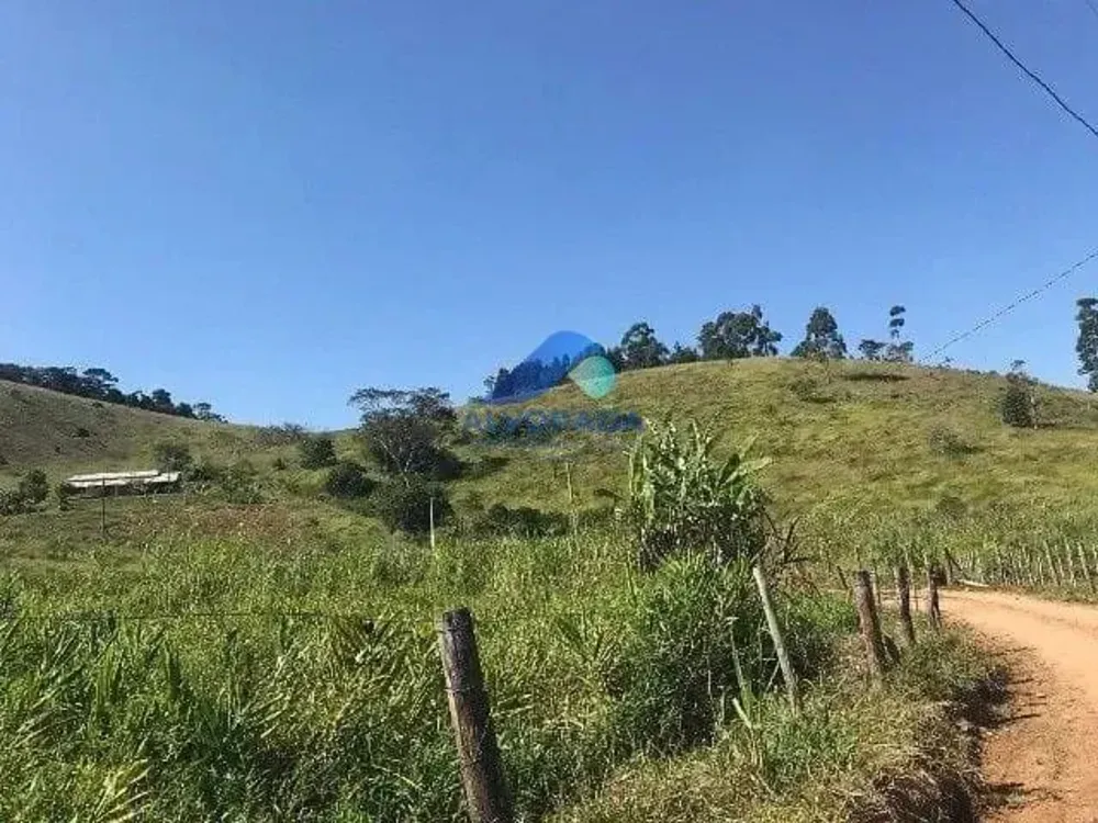Terreno, 15 hectares - Foto 3