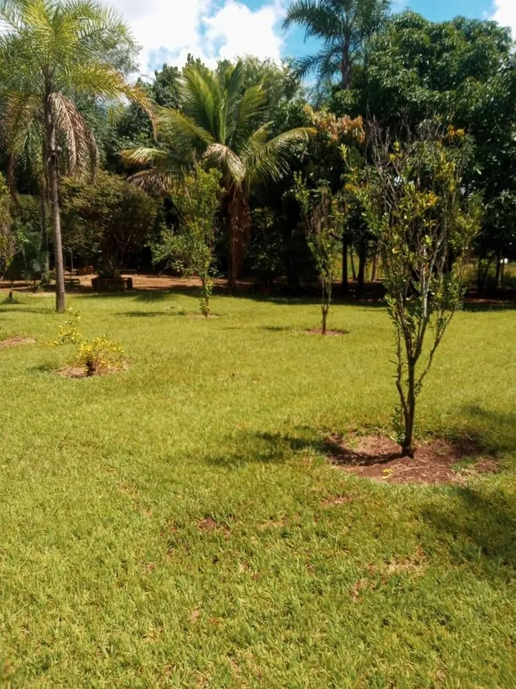 Chácara, 3 quartos, 5000 m² - Foto 1