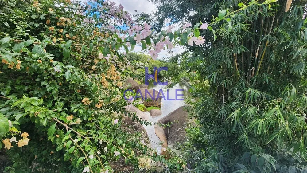 Casa, 5 quartos, 241 m² - Foto 48