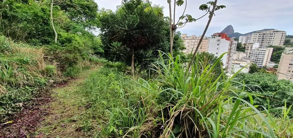 Terreno, 8000 m² - Foto 25