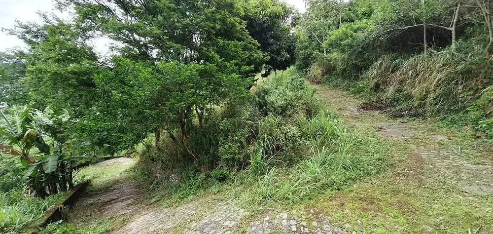 Terreno, 8000 m² - Foto 28