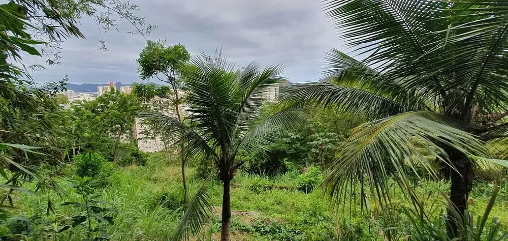 Terreno, 8000 m² - Foto 29