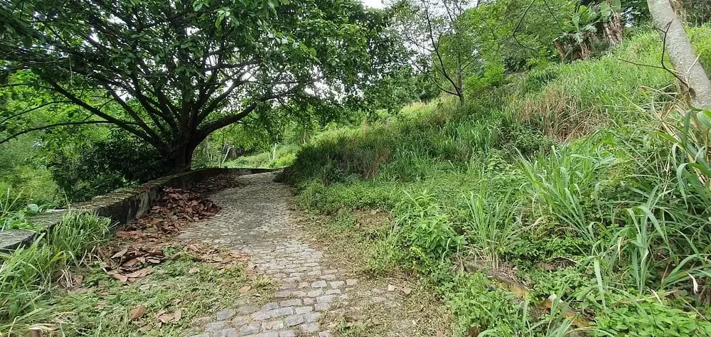 Terreno, 8000 m² - Foto 30