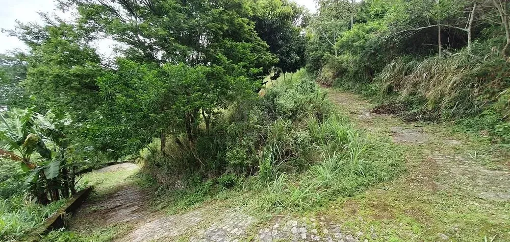 Terreno, 8000 m² - Foto 5
