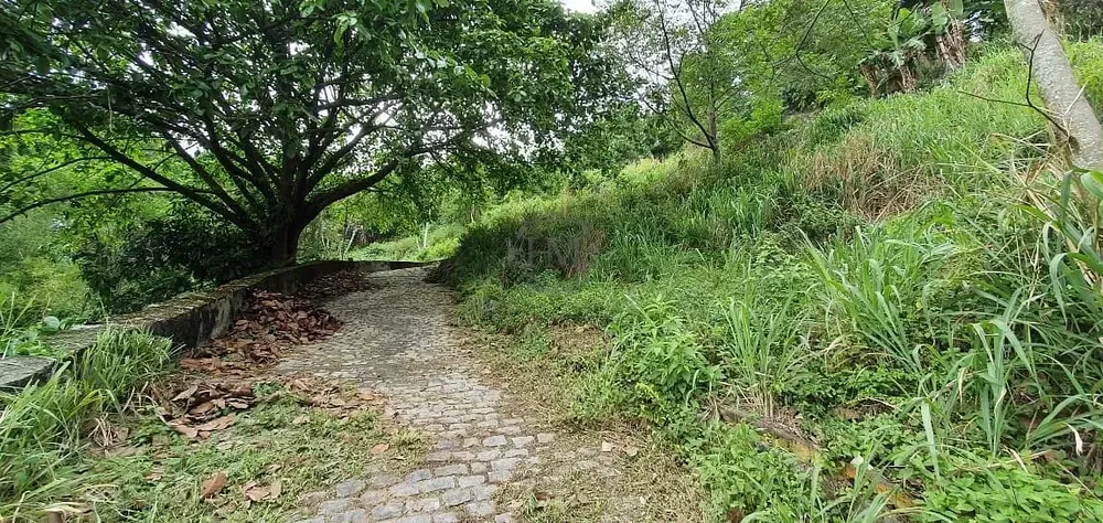 Terreno, 8000 m² - Foto 14
