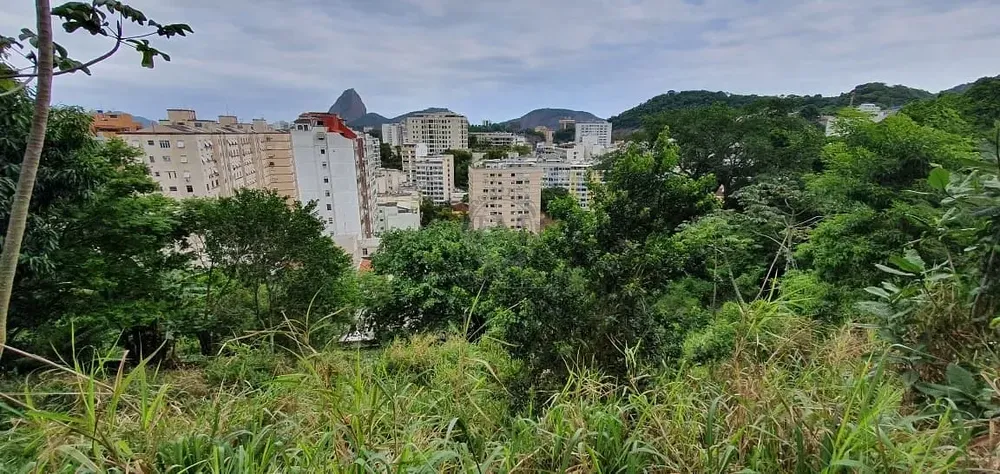 Terreno, 8000 m² - Foto 20