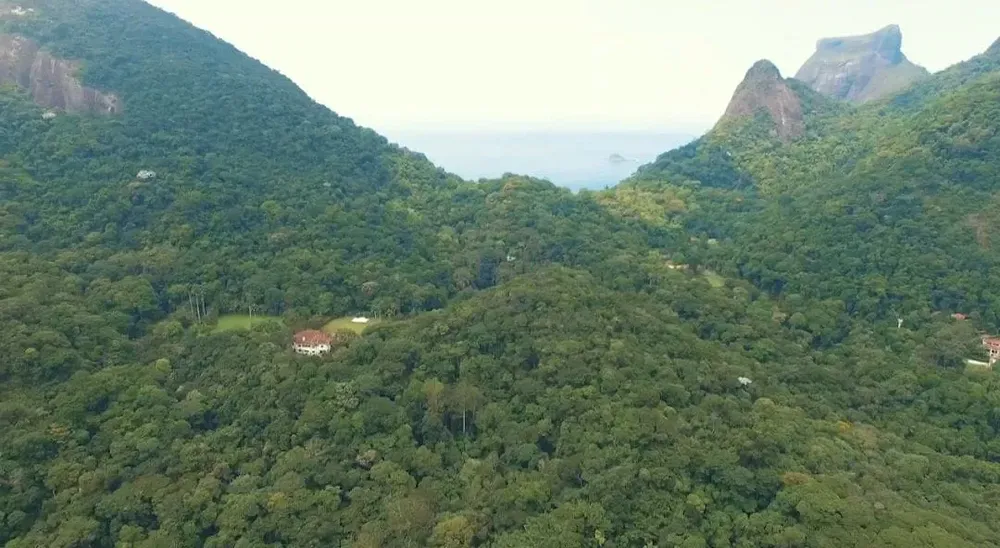Terreno, 6 hectares - Foto 18