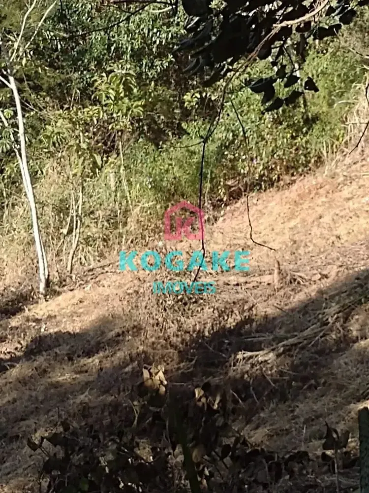 Terreno, 2500 m² - Foto 2