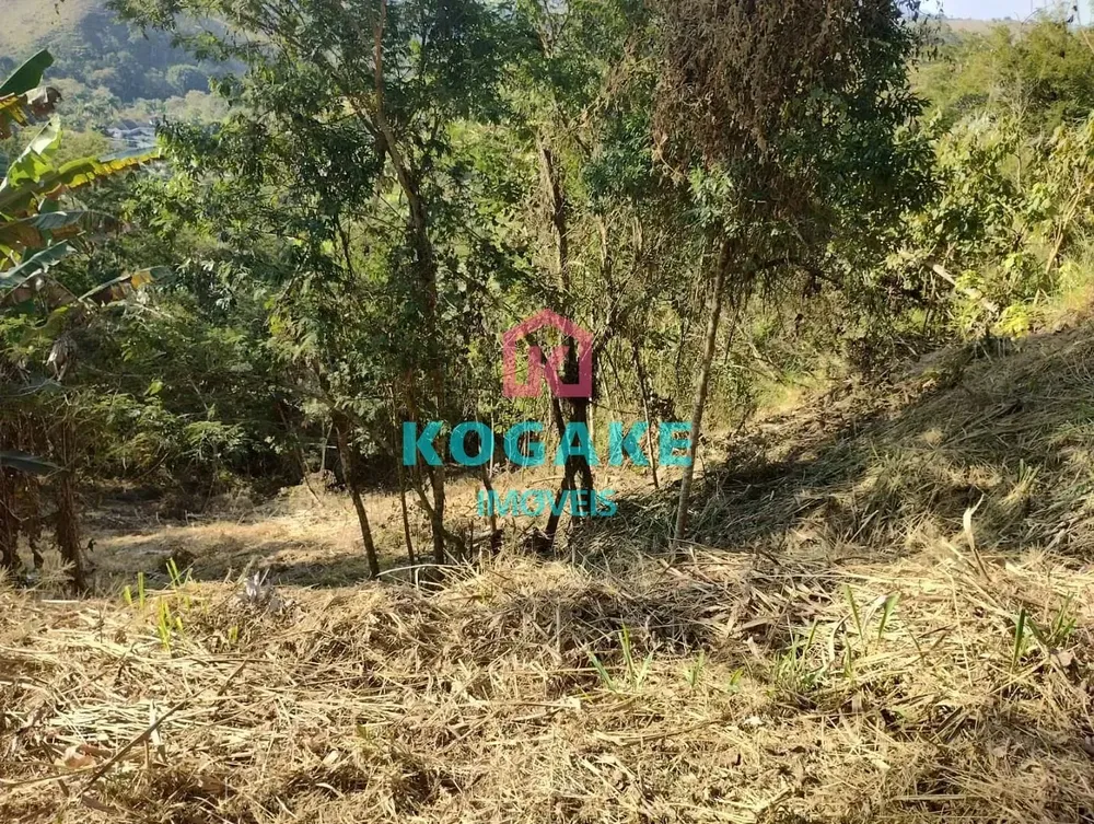 Terreno, 2500 m² - Foto 5