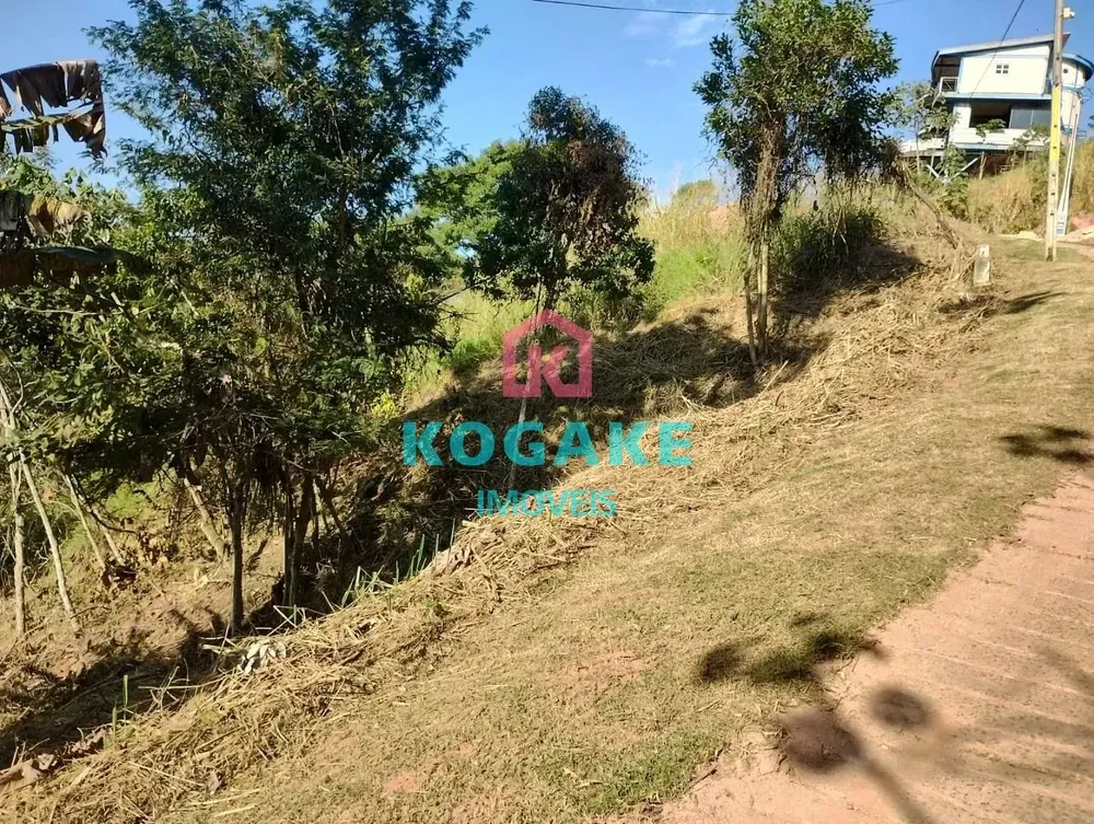 Terreno, 2500 m² - Foto 6