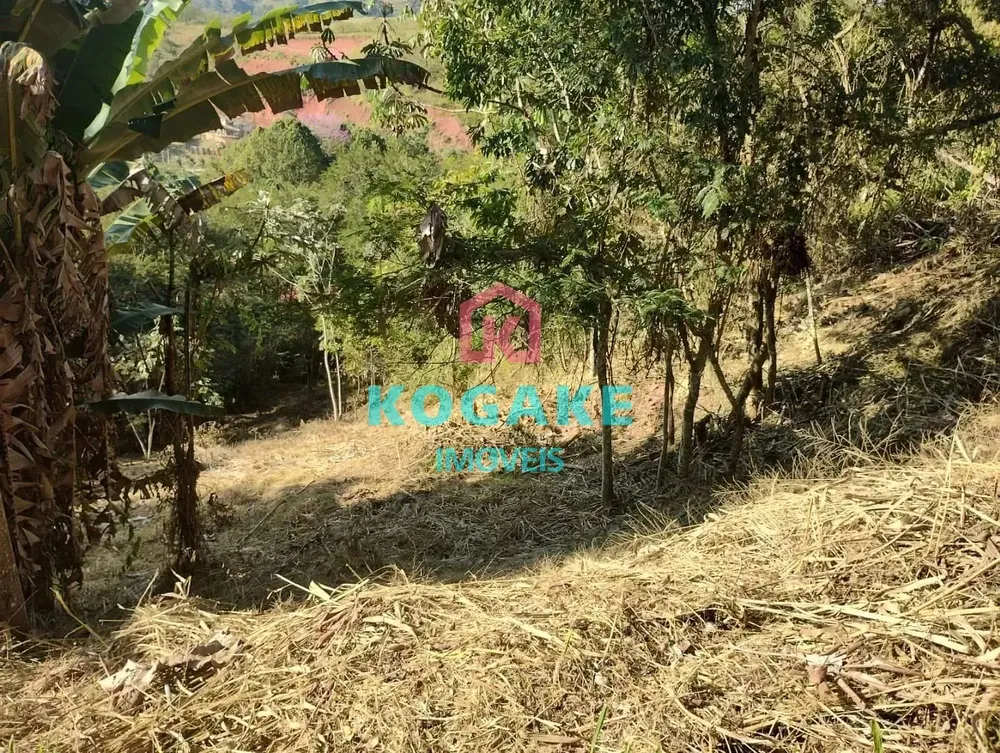 Terreno, 2500 m² - Foto 3
