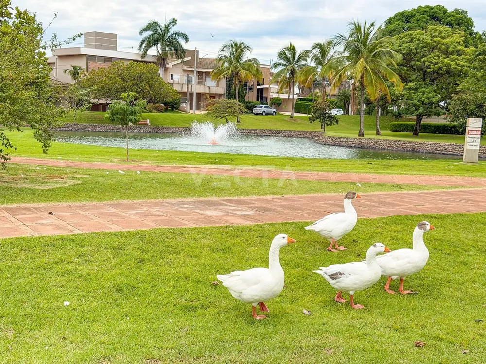Casa, 3 quartos, 300 m² - Foto 4