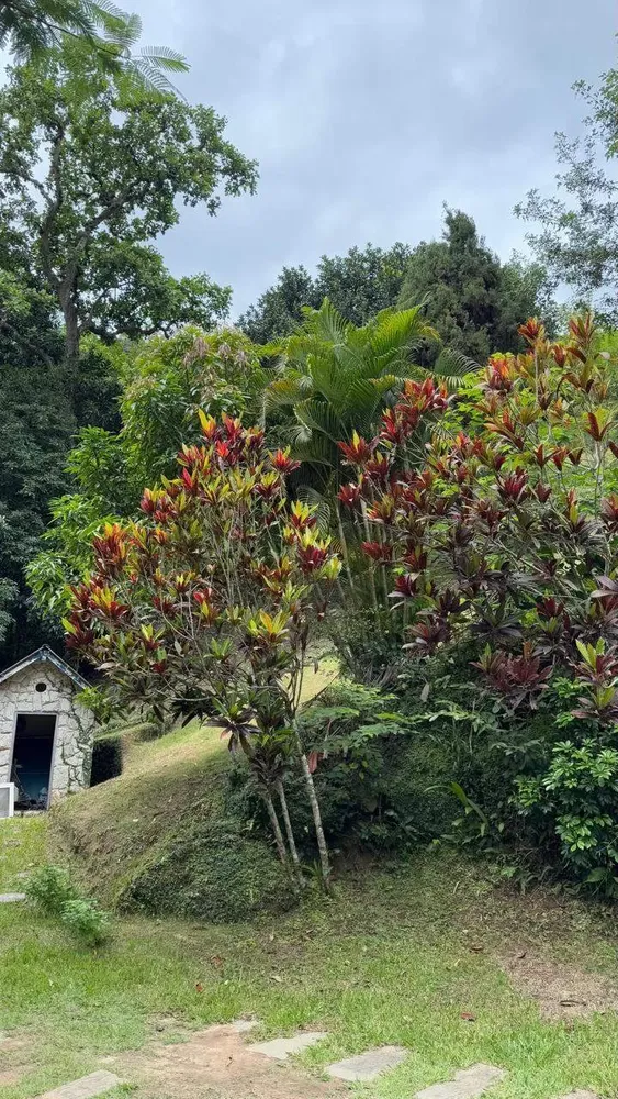 Sítio, 2 quartos, 5 hectares - Foto 18