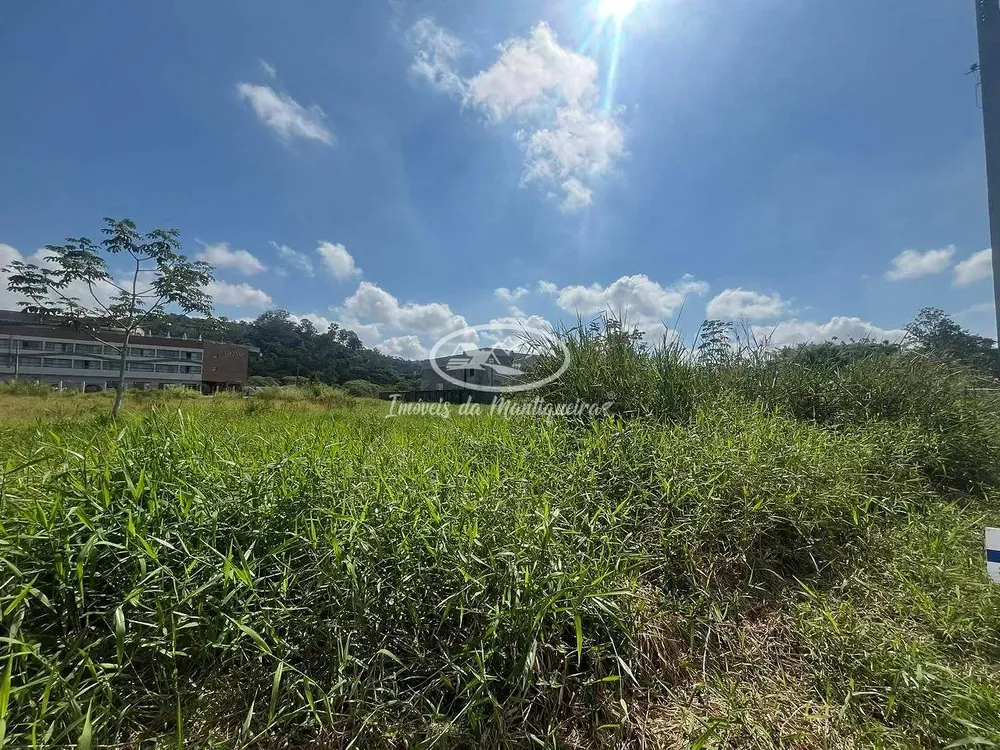 Terreno, 1600 m² - Foto 14
