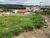 Terreno, 1766 m² - Foto 4