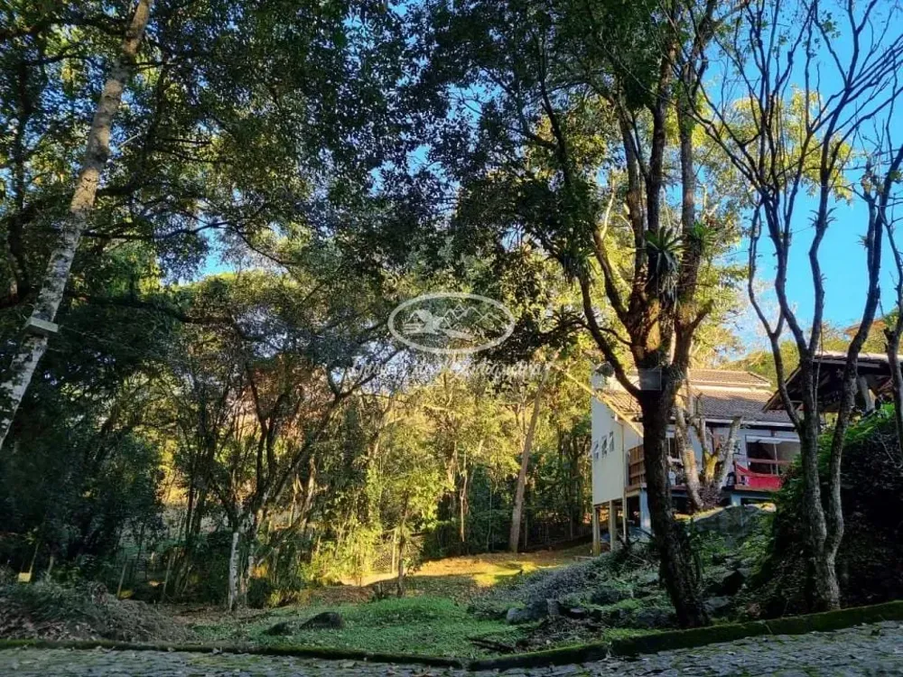 Terreno, 339 m² - Foto 3