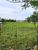 Terreno, 156 hectares - Foto 2