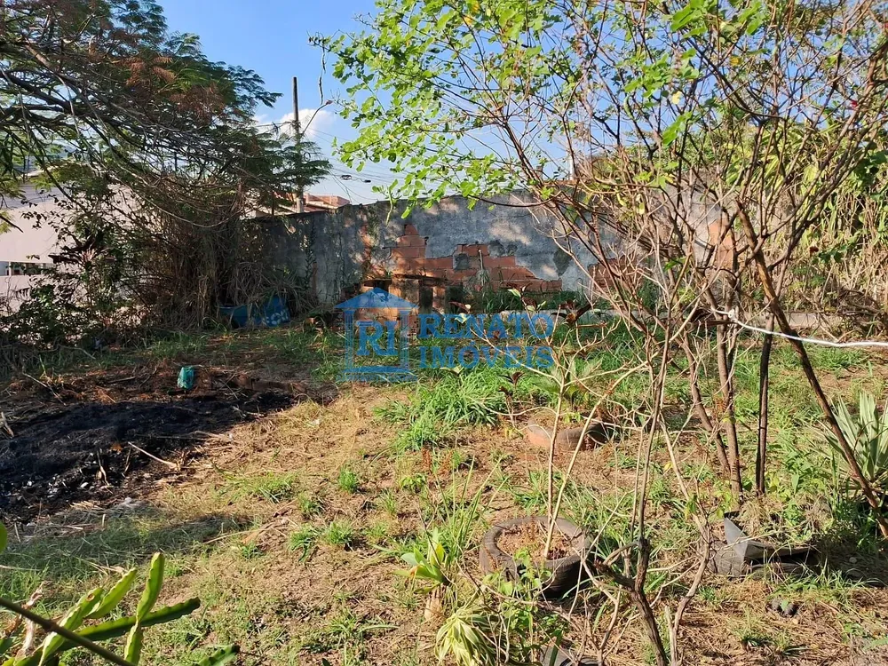 Casa, 3 quartos, 1200 m² - Foto 12