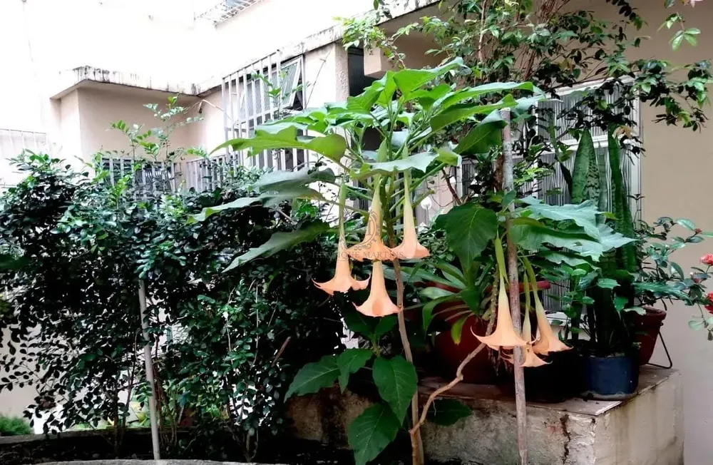 Apartamento, 2 quartos, 106 m² - Foto 33