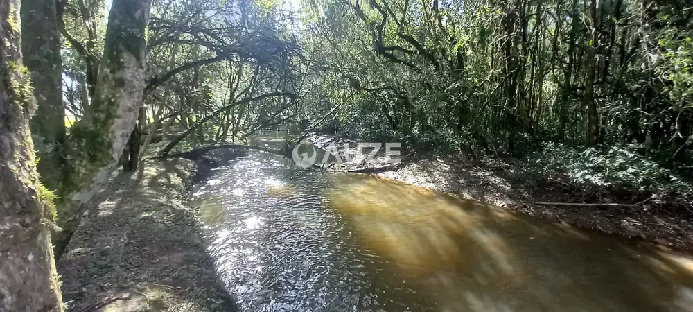 Terreno, 9 hectares - Foto 1