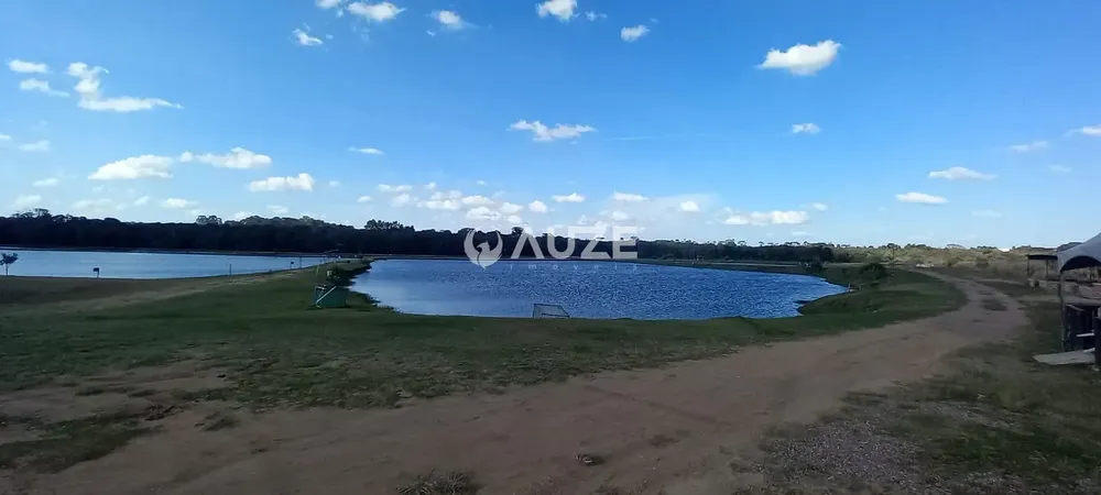 Terreno, 9 hectares - Foto 7