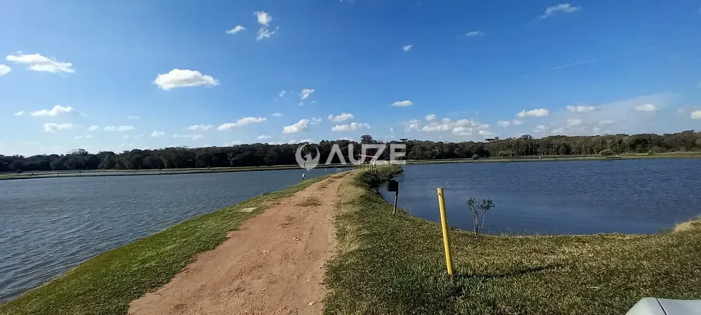 Terreno, 9 hectares - Foto 4