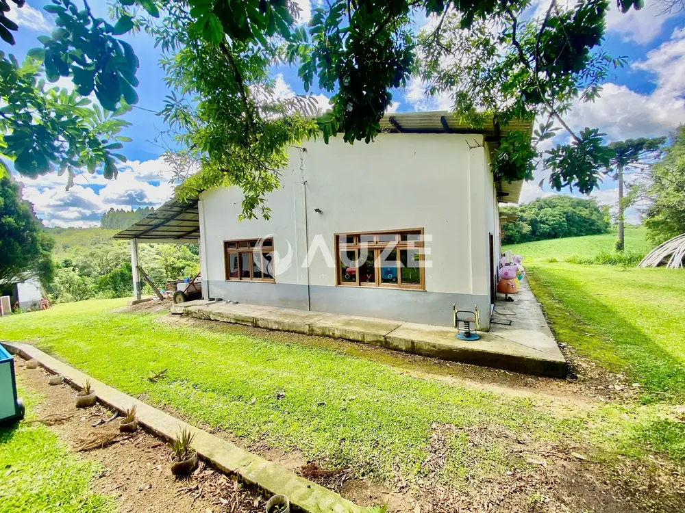 Chácara, 6 quartos, 6 hectares - Foto 4