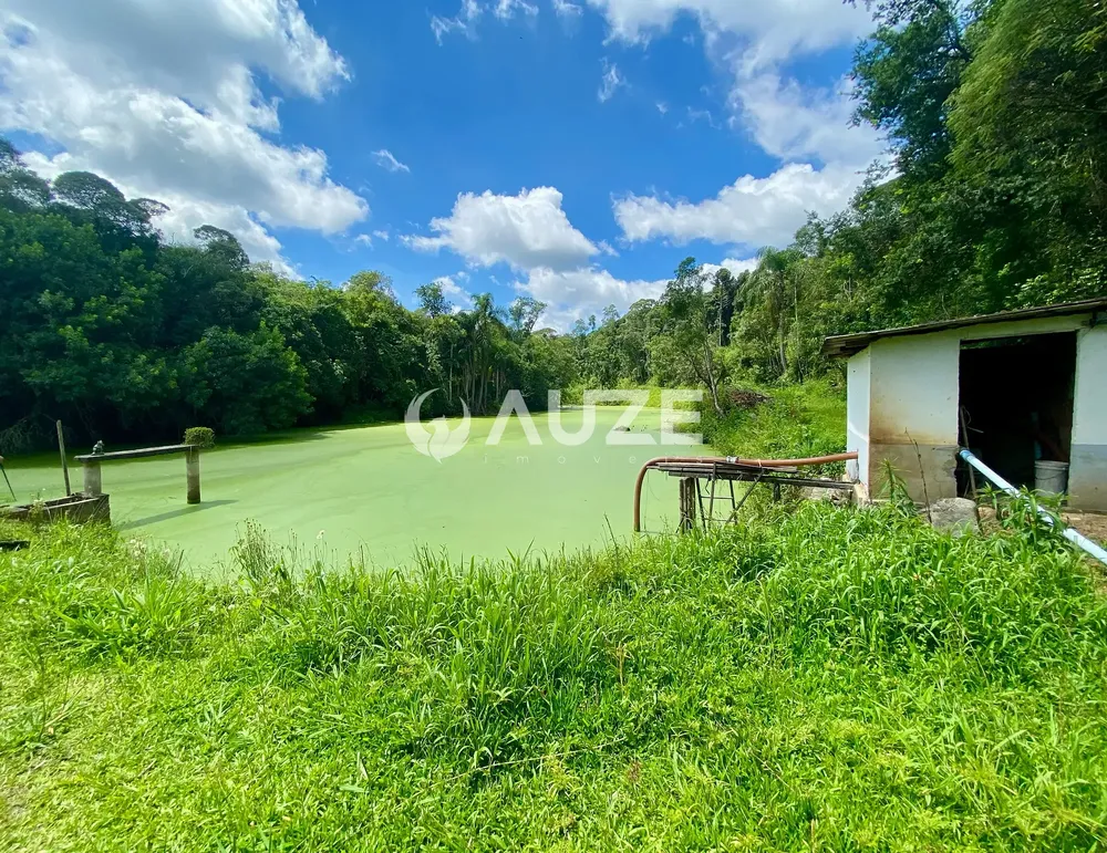 Chácara, 6 quartos, 6 hectares - Foto 1