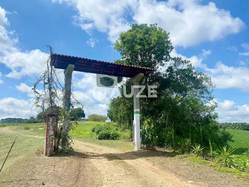 Chácara, 6 quartos, 6 hectares - Foto 3