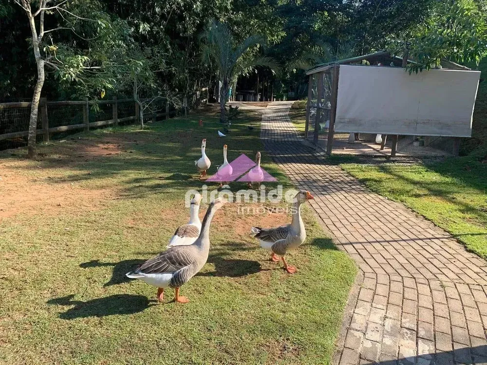 Casa, 3 quartos, 240 m² - Foto 5