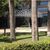 Sala-Conjunto, 776 m² - Foto 2