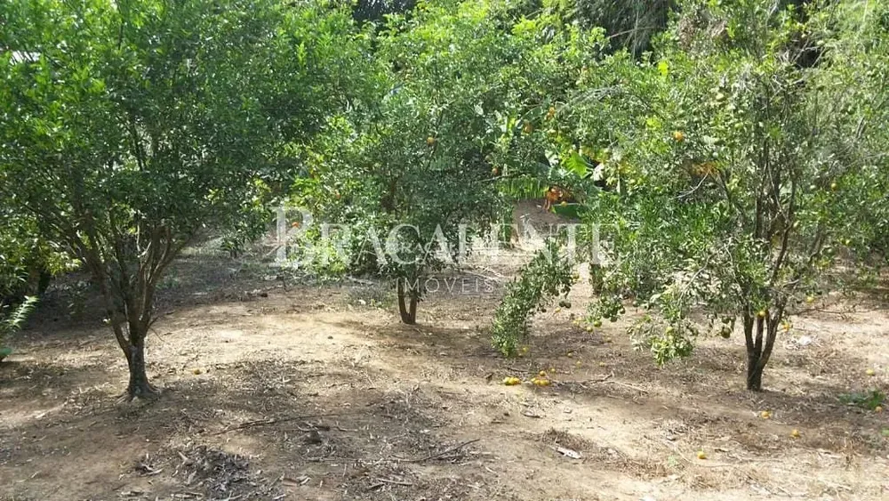 Terreno, 1770 m² - Foto 6