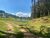 Terreno, 41 hectares - Foto 2