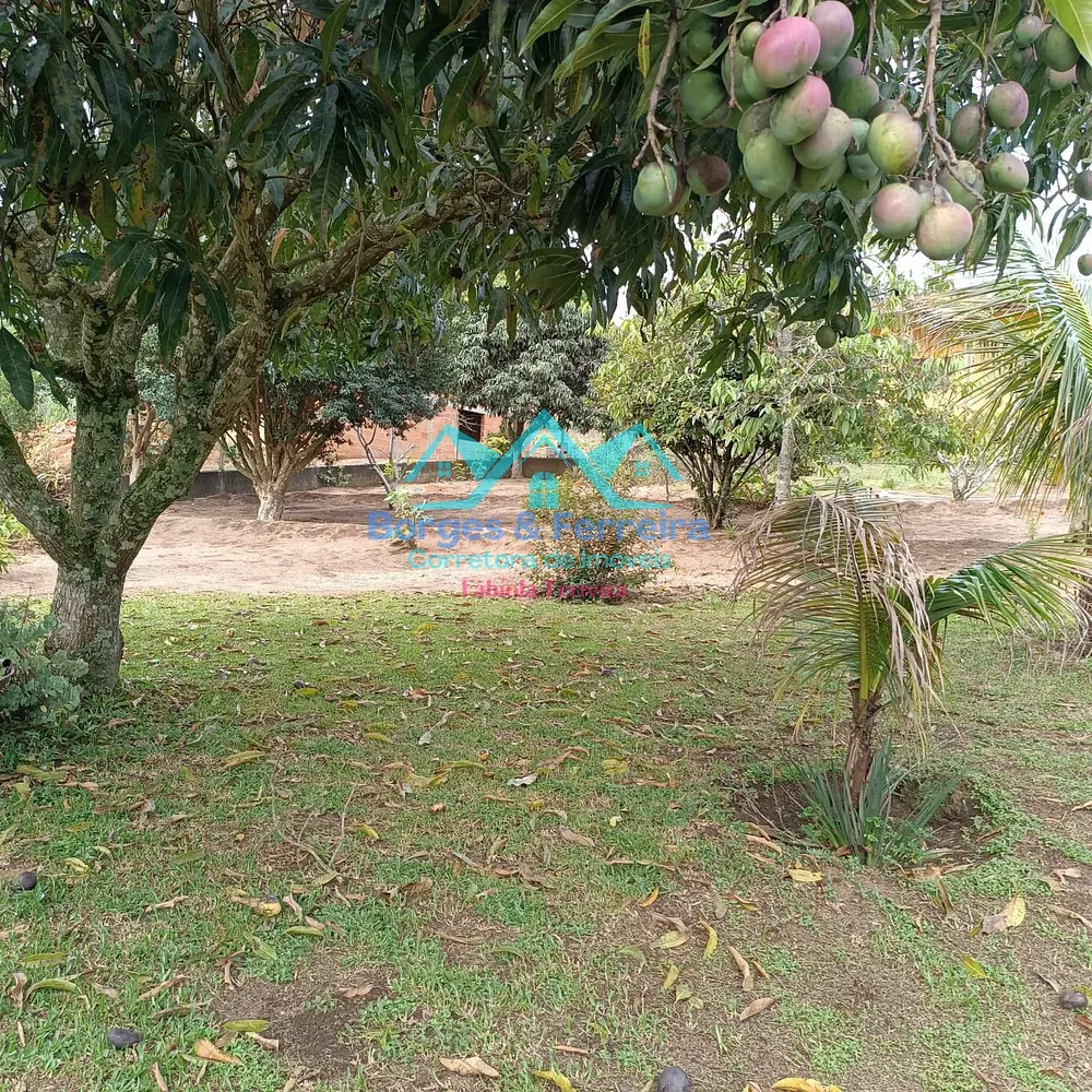 Chácara, 4 quartos, 1500 m² - Foto 1
