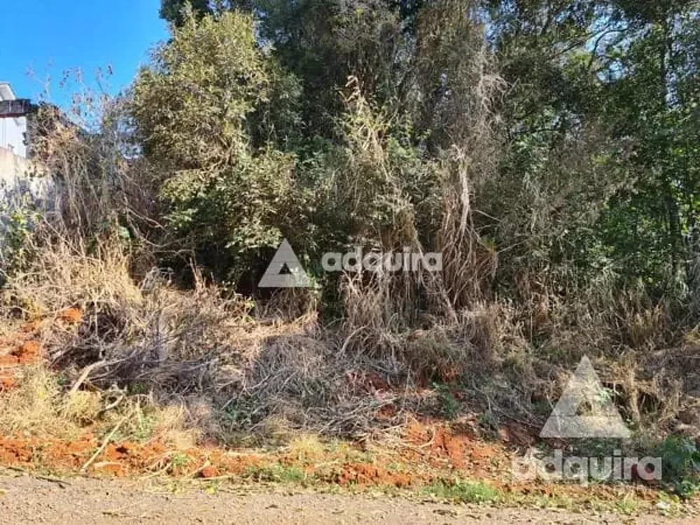 Terreno, 424 m² - Foto 4