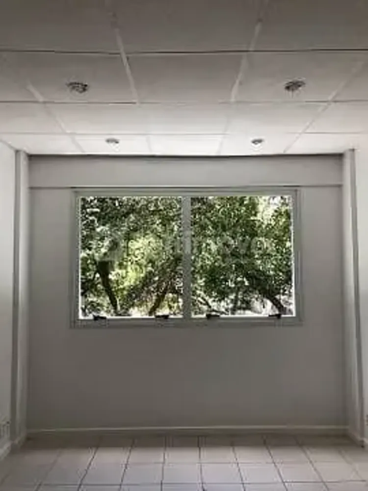 Sala-Conjunto, 30 m² - Foto 1