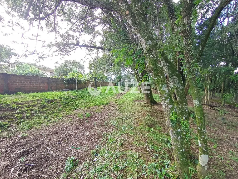Chácara, 3 quartos, 5000 m² - Foto 8