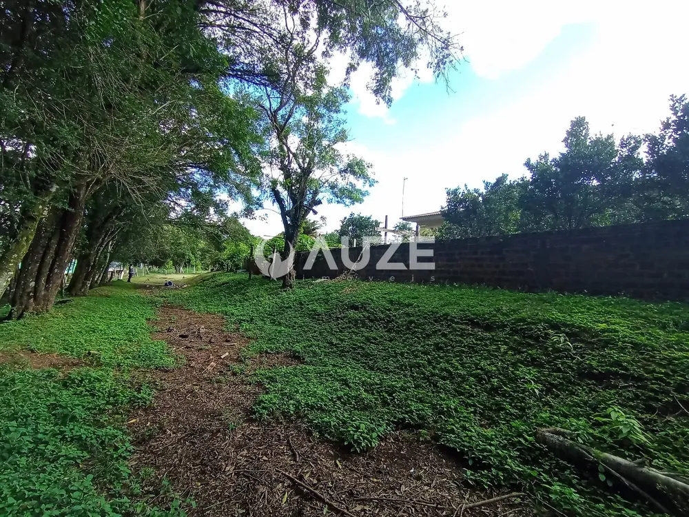 Chácara, 3 quartos, 5000 m² - Foto 3