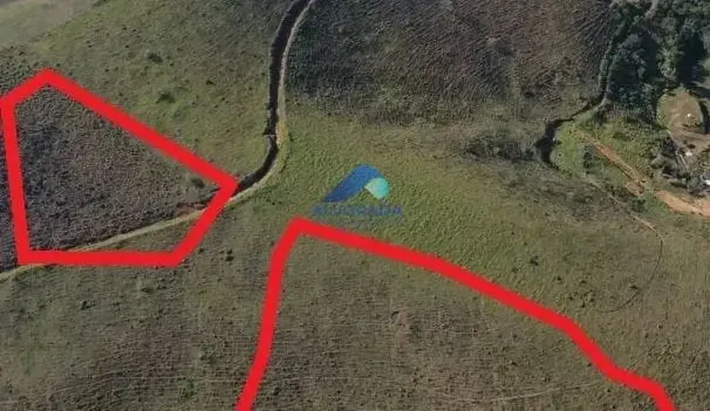 Terreno, 2 hectares - Foto 4