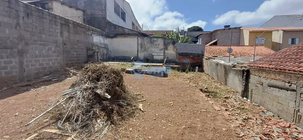 Casa, 2 quartos, 250 m² - Foto 4