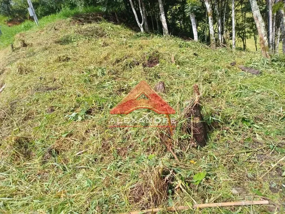 Terreno, 692 m² - Foto 5