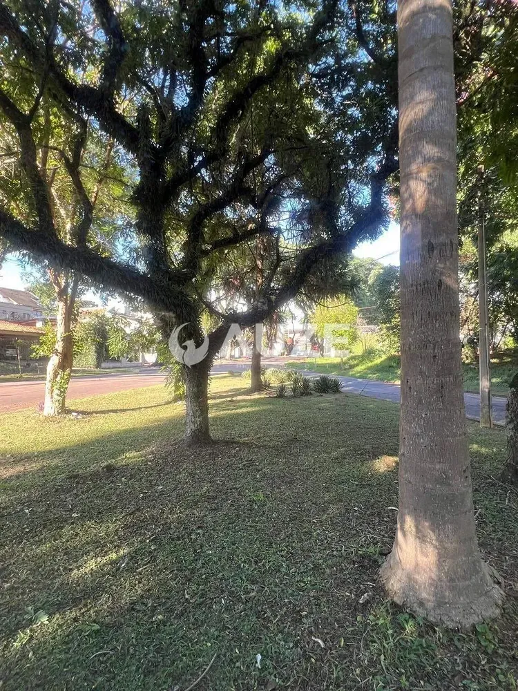 Terreno, 660 m² - Foto 7