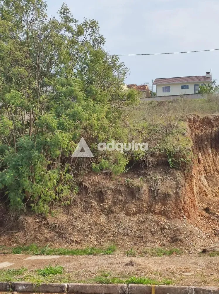 Terreno, 299 m² - Foto 3