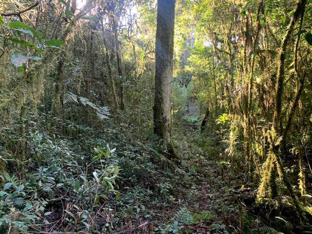 Terreno à venda, 10m² - Foto 3