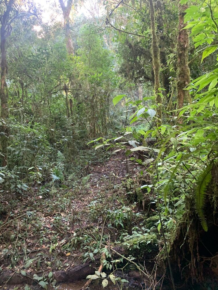 Terreno à venda, 10m² - Foto 4