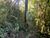 Terreno, 3 hectares - Foto 3